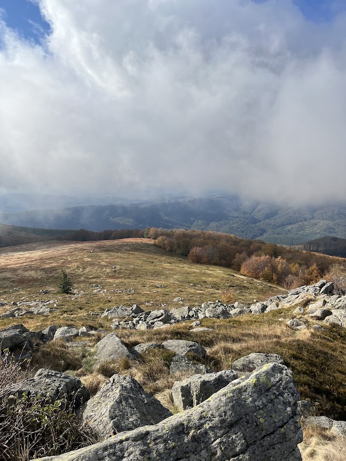 Photo de Pârtia Uriașul - Semenic
