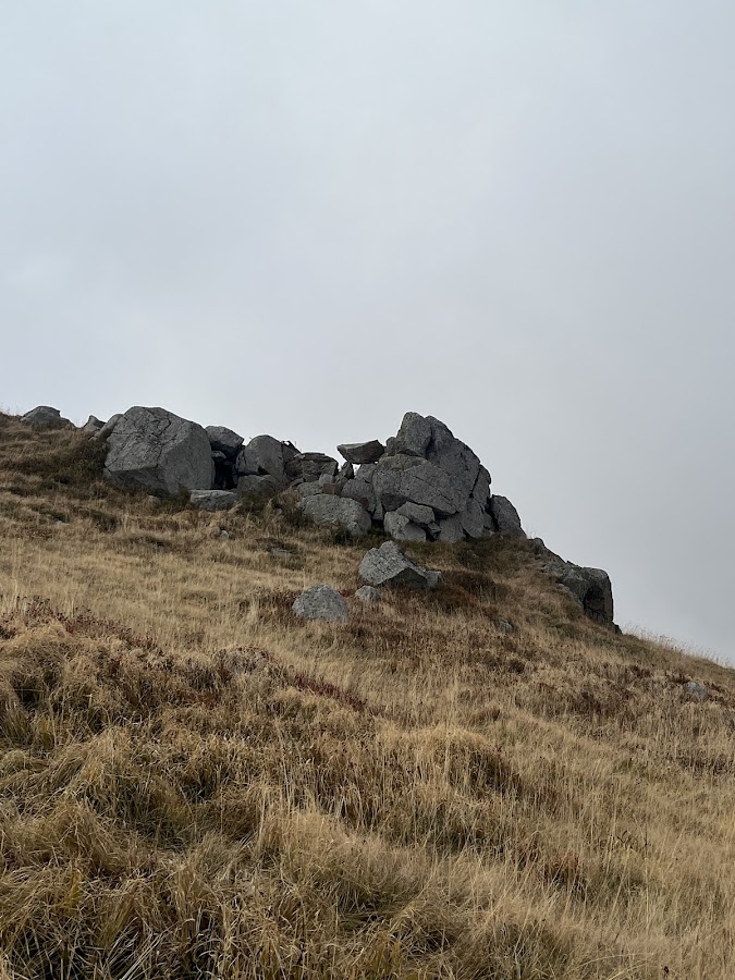 Photo de Pârtia Uriașul - Semenic