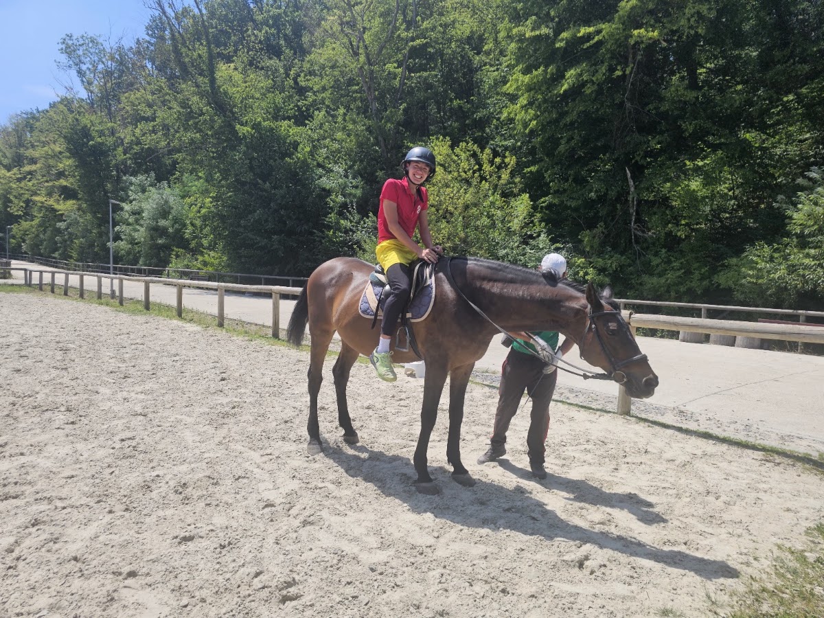 Foto von Centrul de Echitatie Herneacova CARDENO HORSE