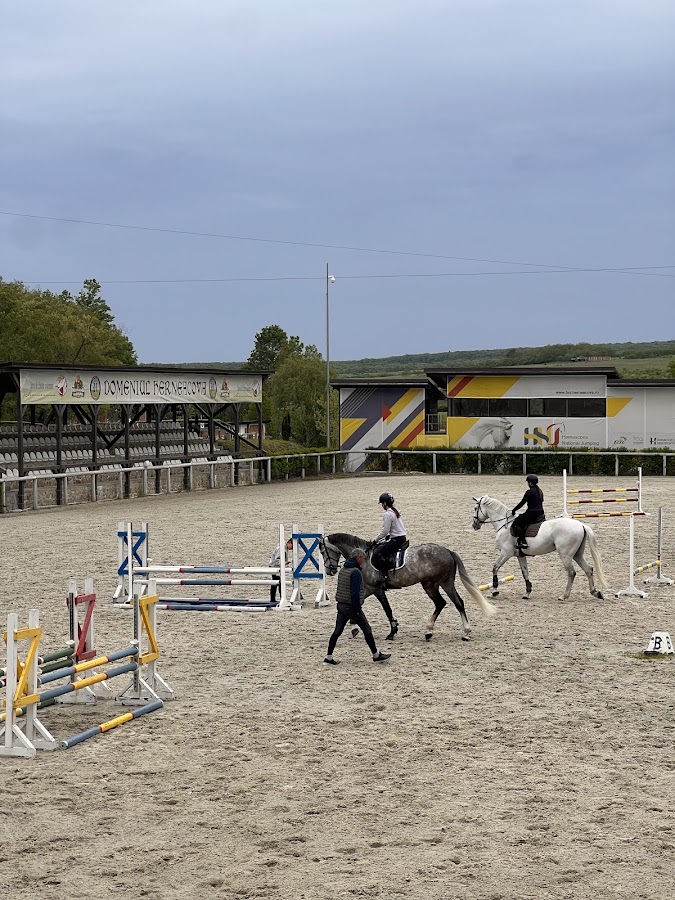 Foto von Centrul de Echitatie Herneacova CARDENO HORSE
