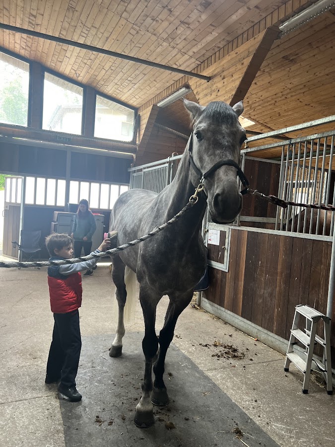 Foto von Centrul de Echitatie Herneacova CARDENO HORSE