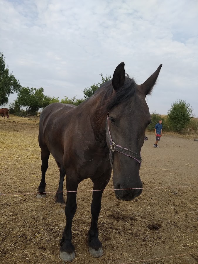 Foto von Nadira Riding