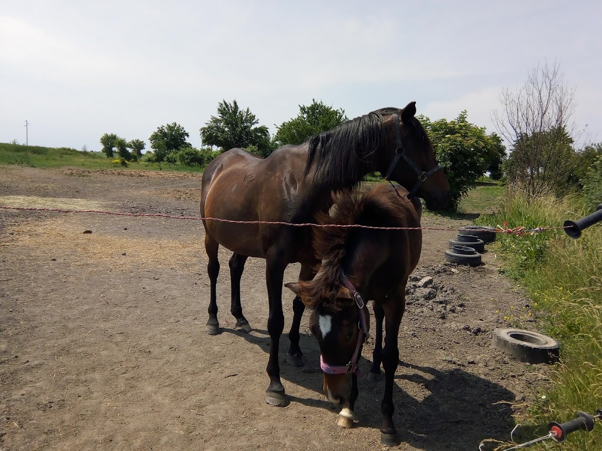 Foto von Nadira Riding