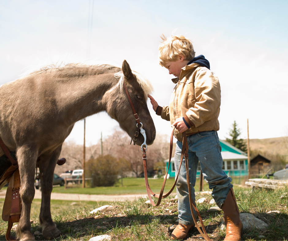 Photo de poneys pour enfants