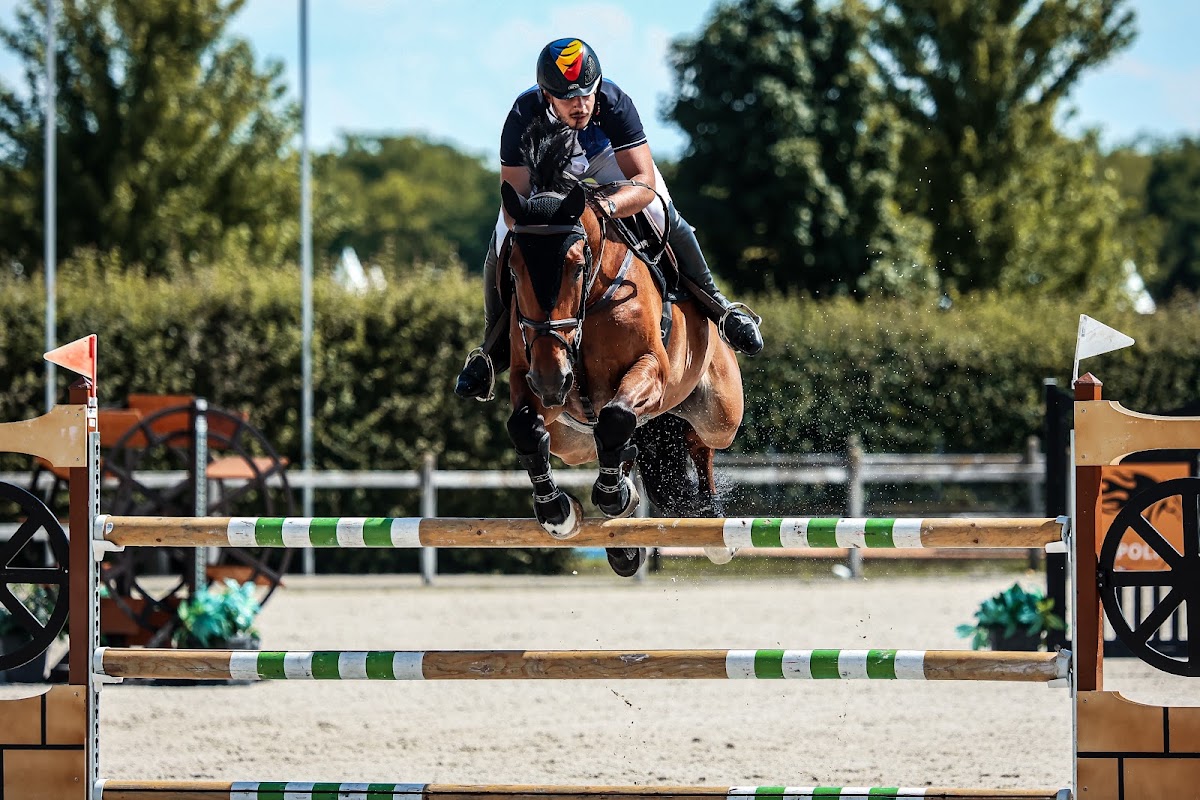 Photo du Centre d'Équitation Belvedere Jebel, Timiș