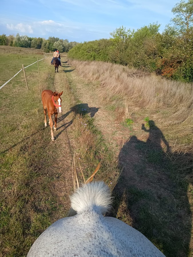 Foto von Caii Văii Carasului