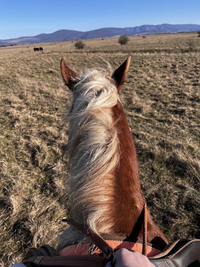 Foto von Caii Văii Carasului