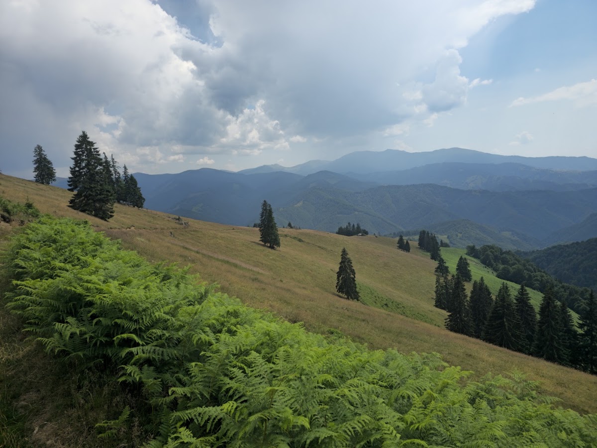 Fotografie de Carpathian Horse Trekking