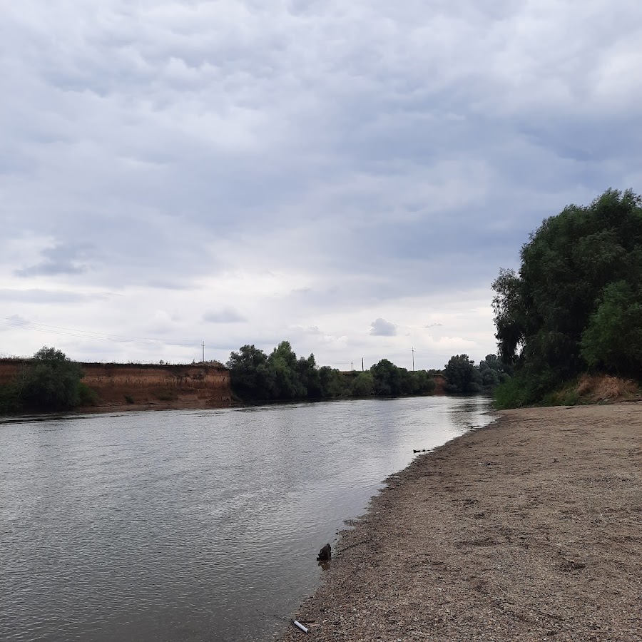 Foto di RNP Romsilva Administratia Parcului Natural Lunca Mureșului R.A.