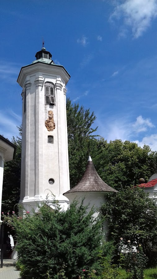 Foto di RNP Romsilva Administratia Parcului Natural Lunca Mureșului R.A.