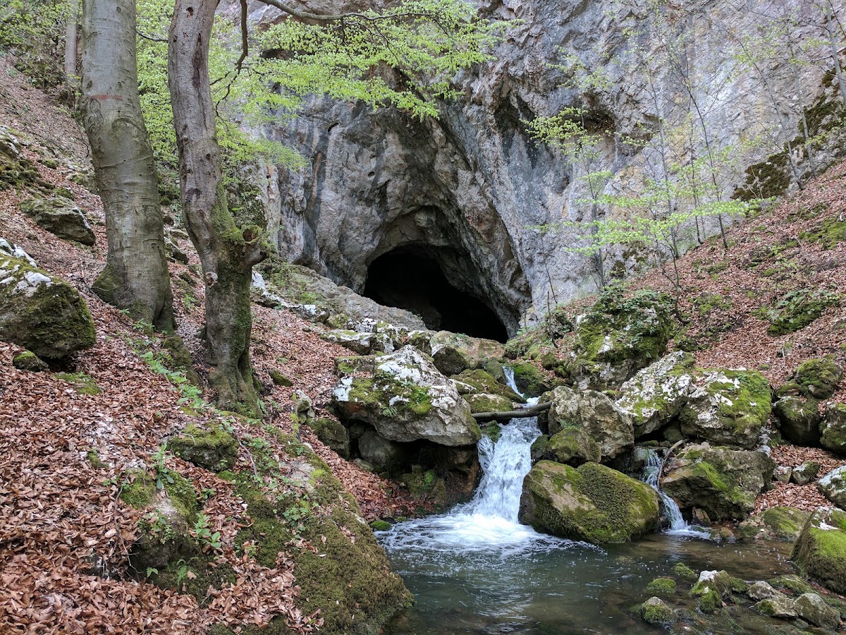 Foto di Parcul Natural Grădiștea Muncelului-Cioclovina
