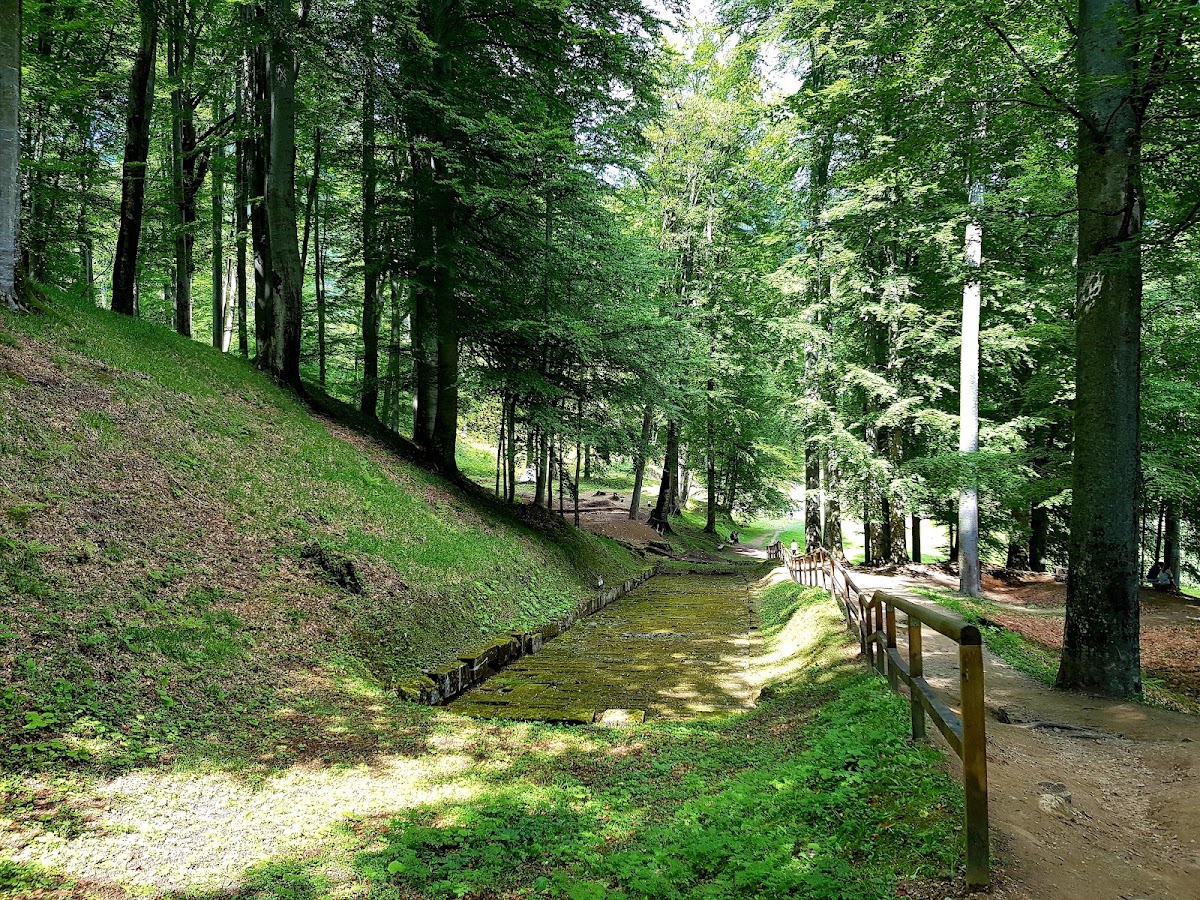 Foto di Parcul Natural Grădiștea Muncelului-Cioclovina