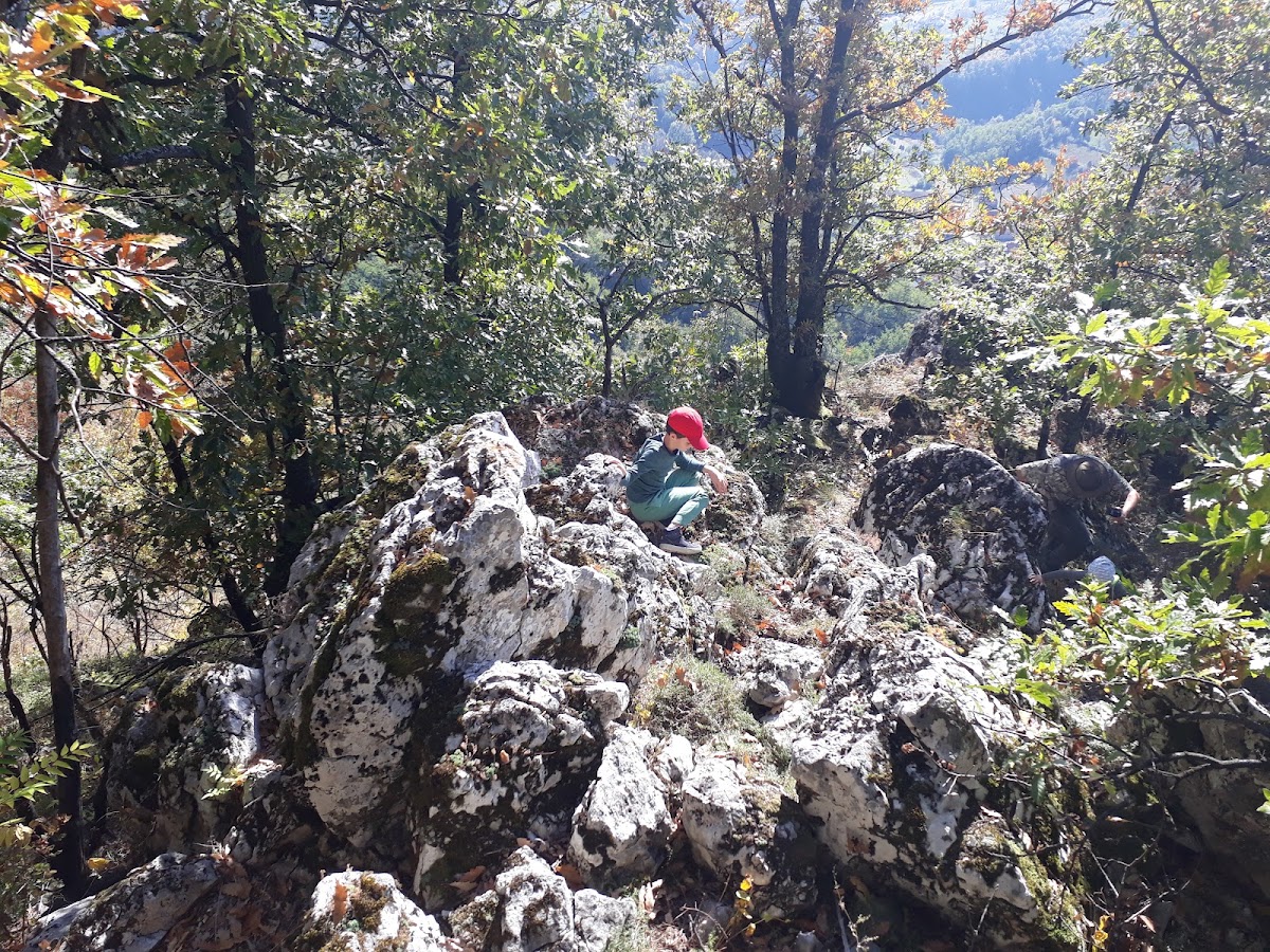 Foto di Calcarele de la Boiu de Sus