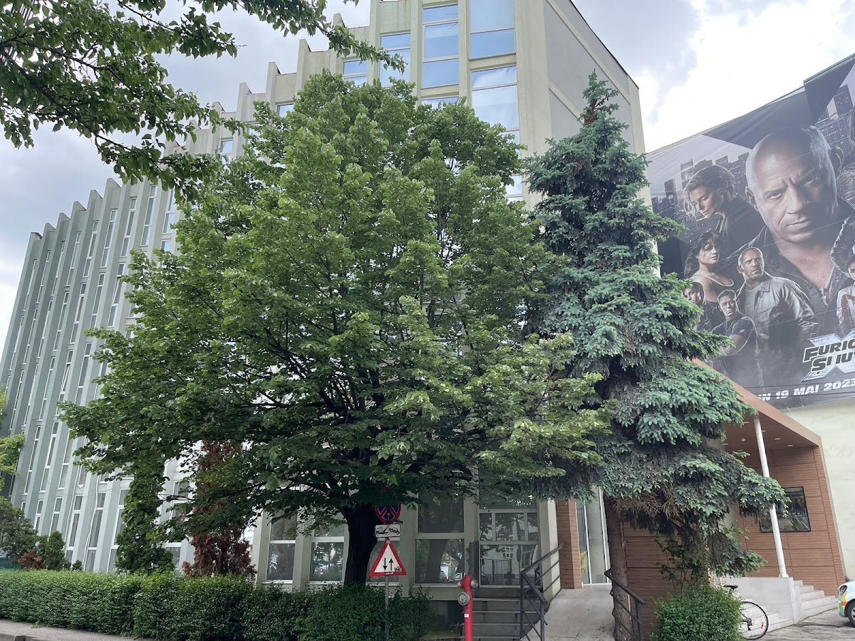 Photo of Spatiu Birou Timisoara centru, parcare. De inchiriat.