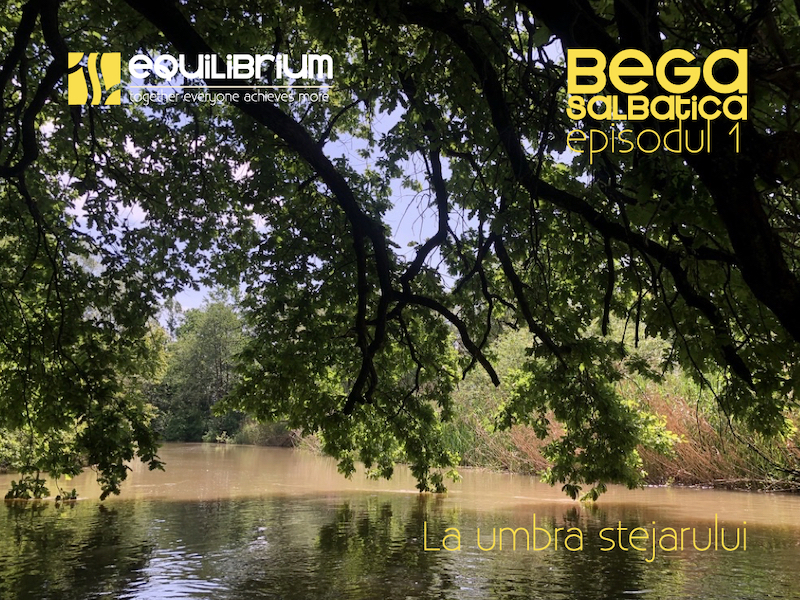 Foto von Kanu Remetea Mare | Wilder Bega | Gleichgewicht