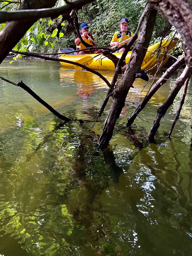 Foto von Canoe Remetea Mare | Bega Sălbatică | Equilibrium