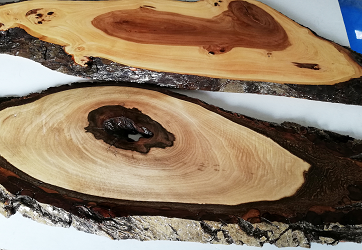 Foto di West Wood Works SRL