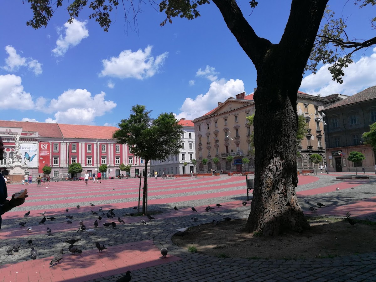 Photo de EXIMTUR - Agentie de turism Timisoara