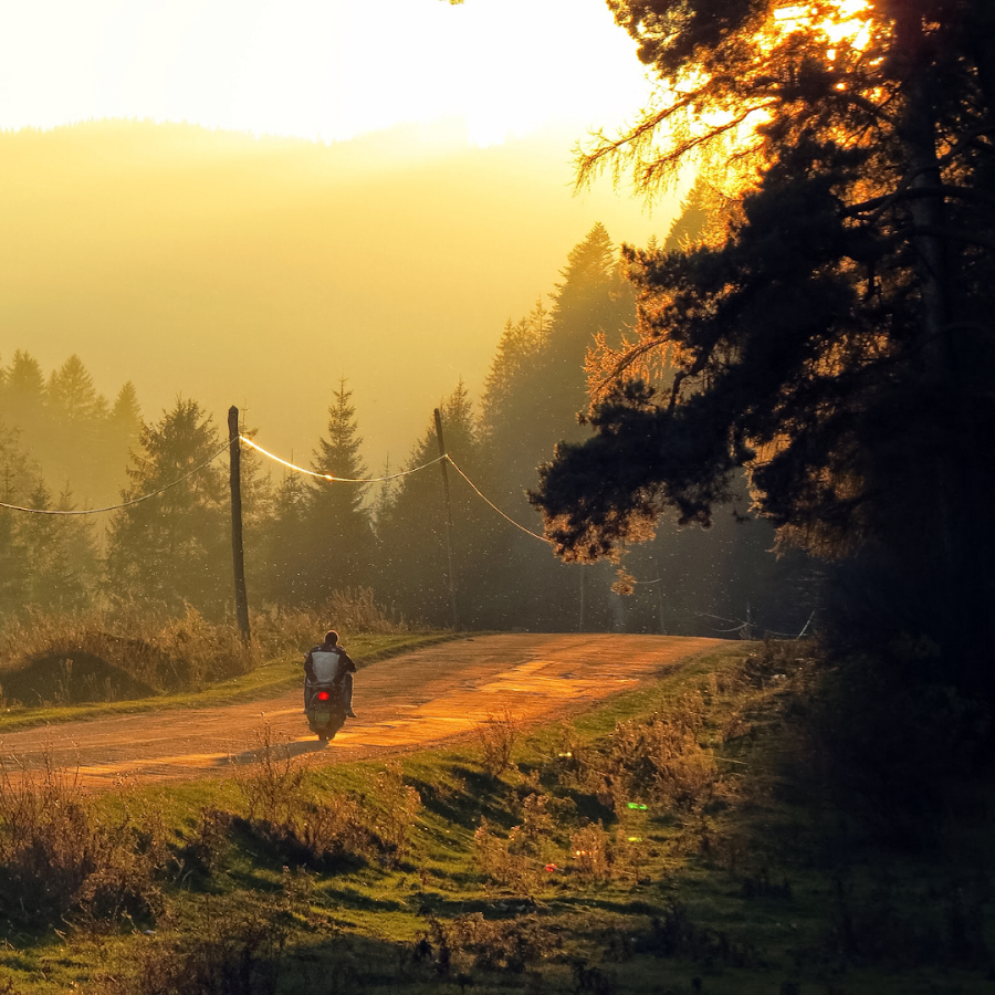 Foto von Beyond Dracula Travel
