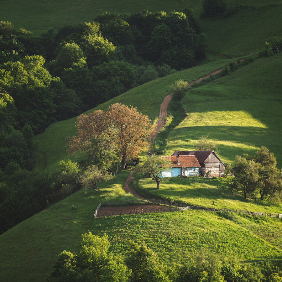 Foto von Beyond Dracula Travel
