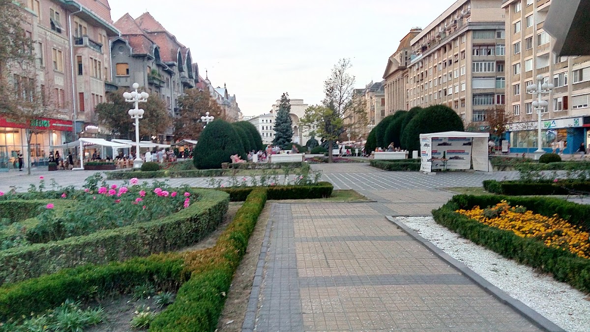 Foto von Timișoara