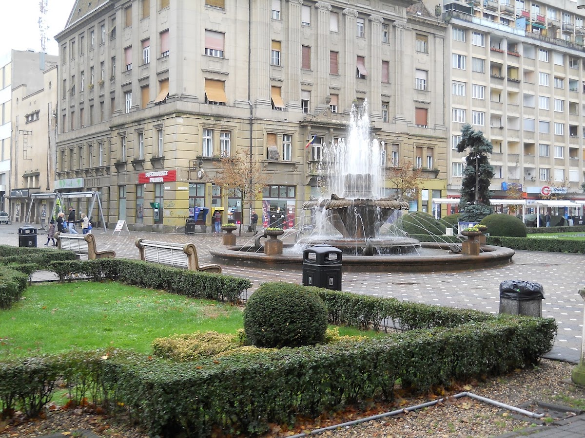 Foto von Timișoara