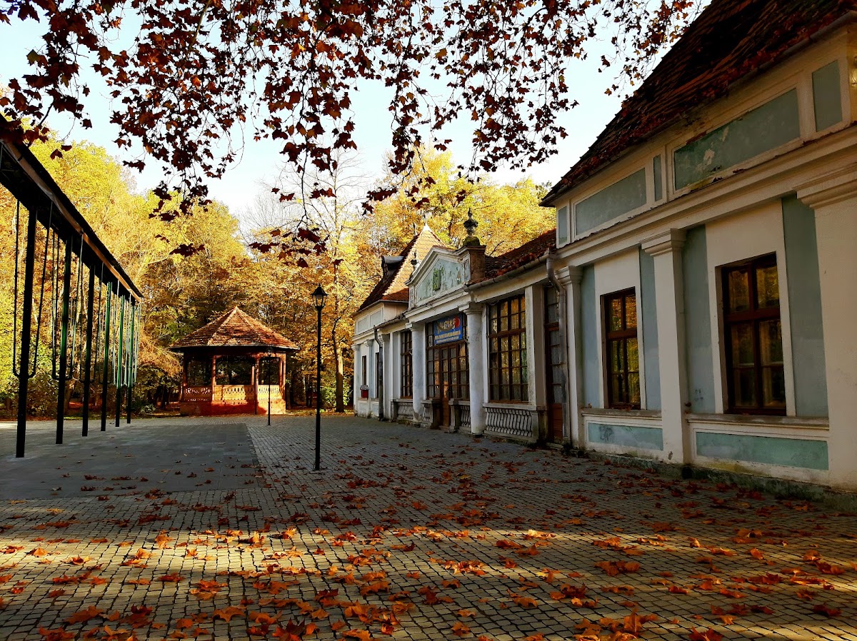 Foto di Județul Timiș