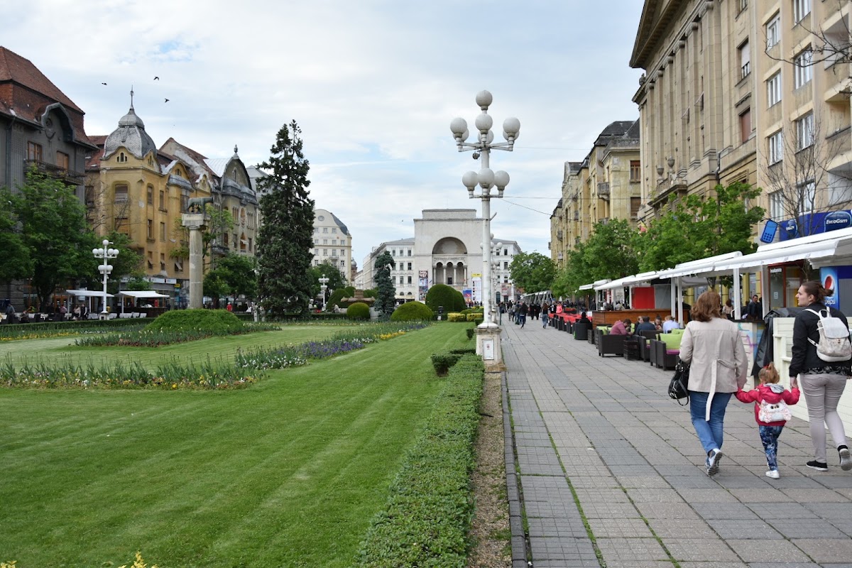 Foto di Județul Timiș