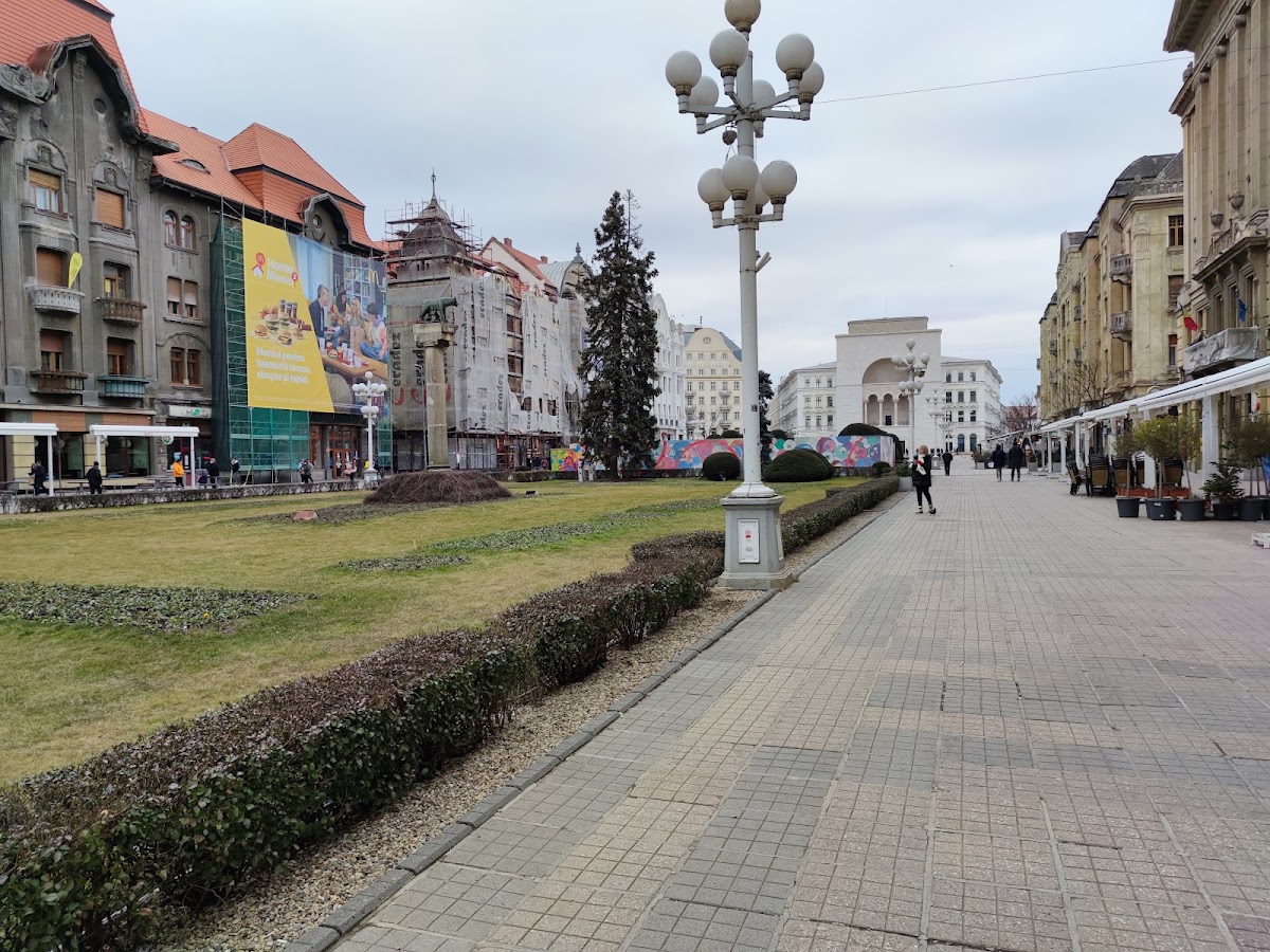 Foto di Județul Timiș