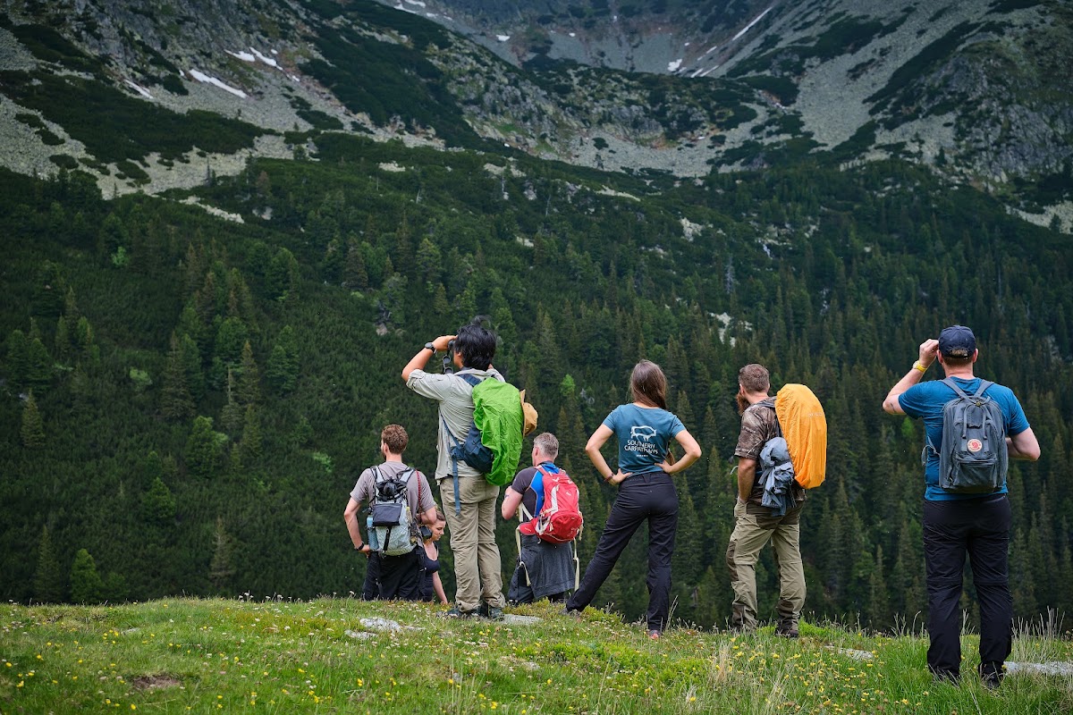 Foto der Rewilding Rumänien Reiseagentur