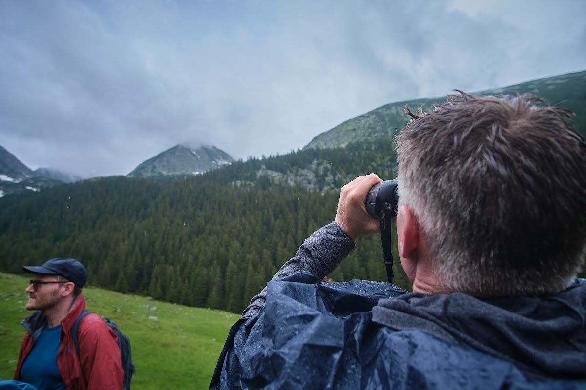 Foto von Rewilding Romania Travel Agency
