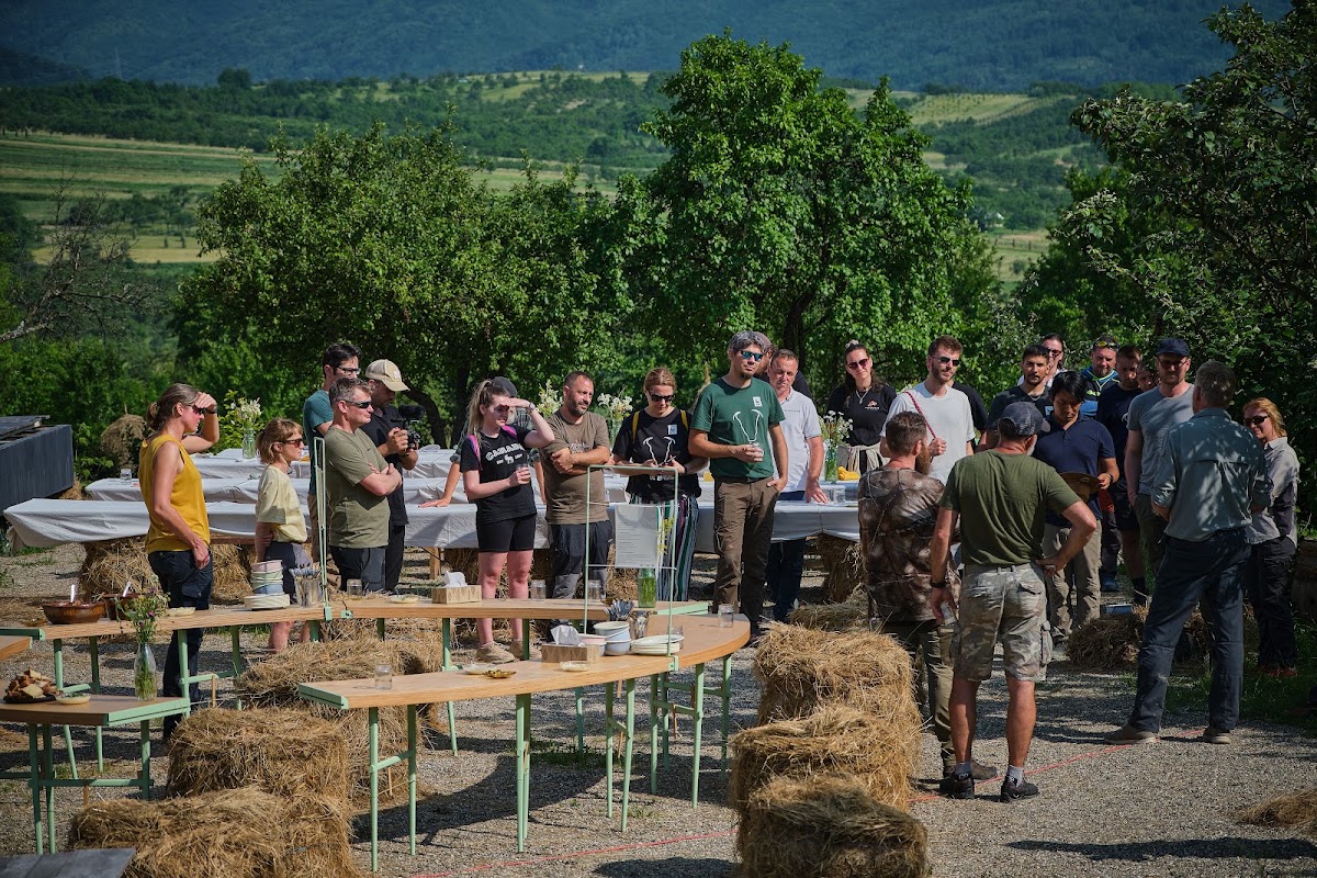 Foto von Rewilding Romania Travel Agency