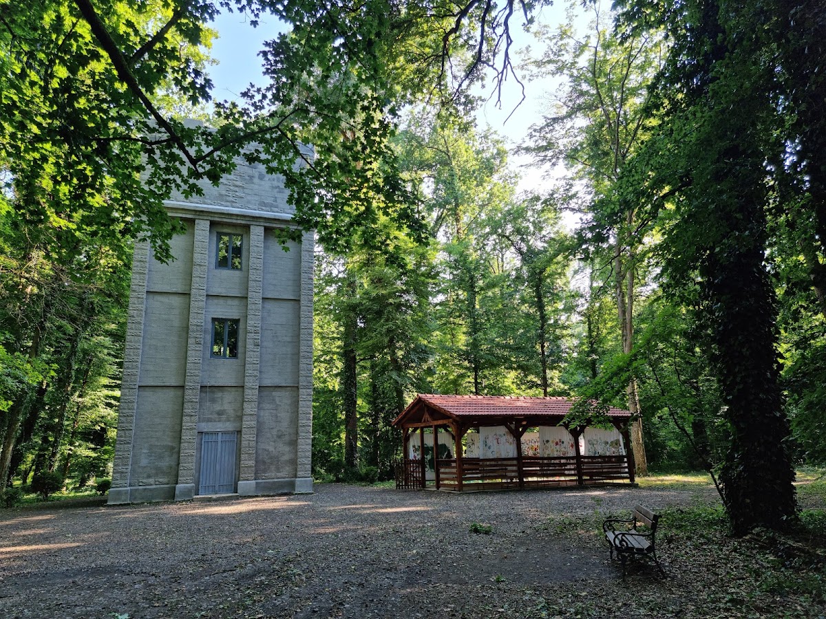 Foto di Parcul Dendrologic Bazoș