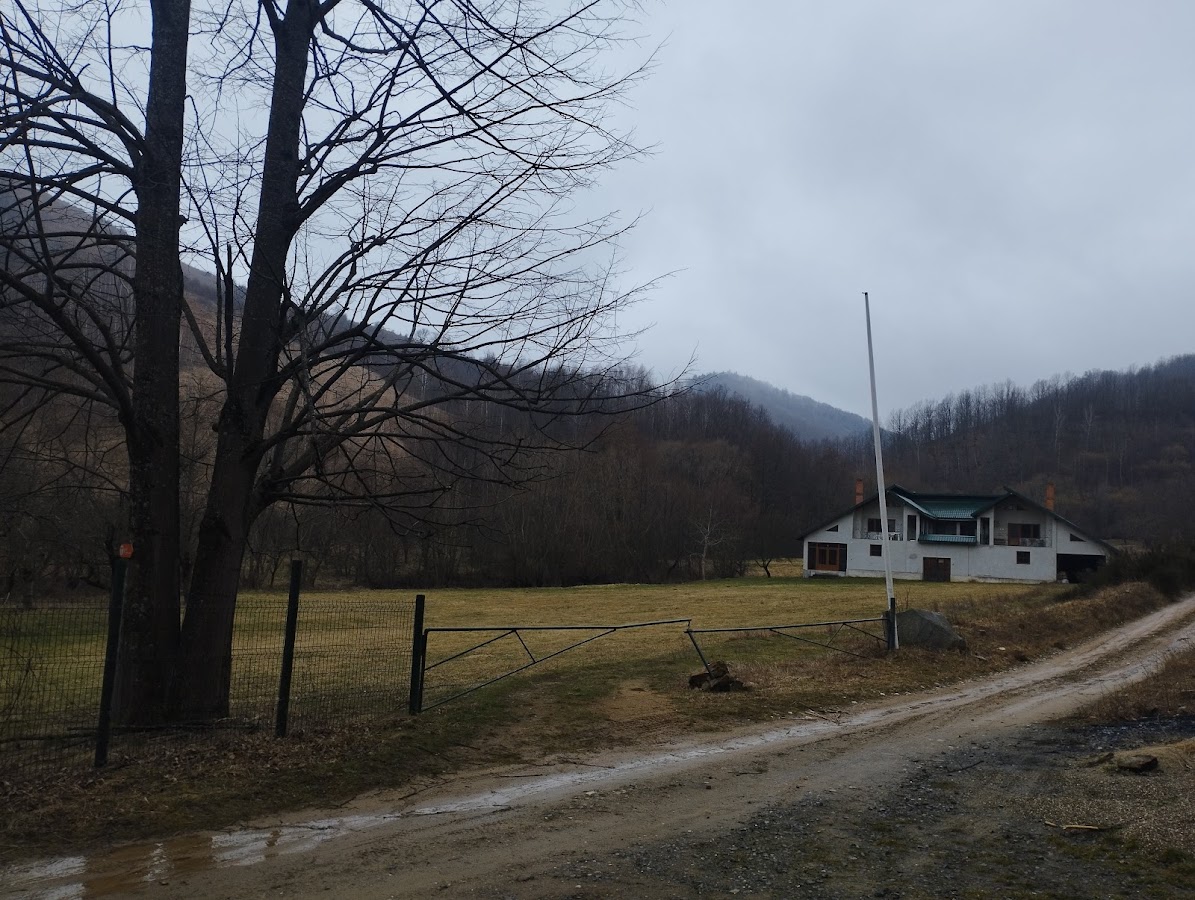 Photo of Casuța din pădure