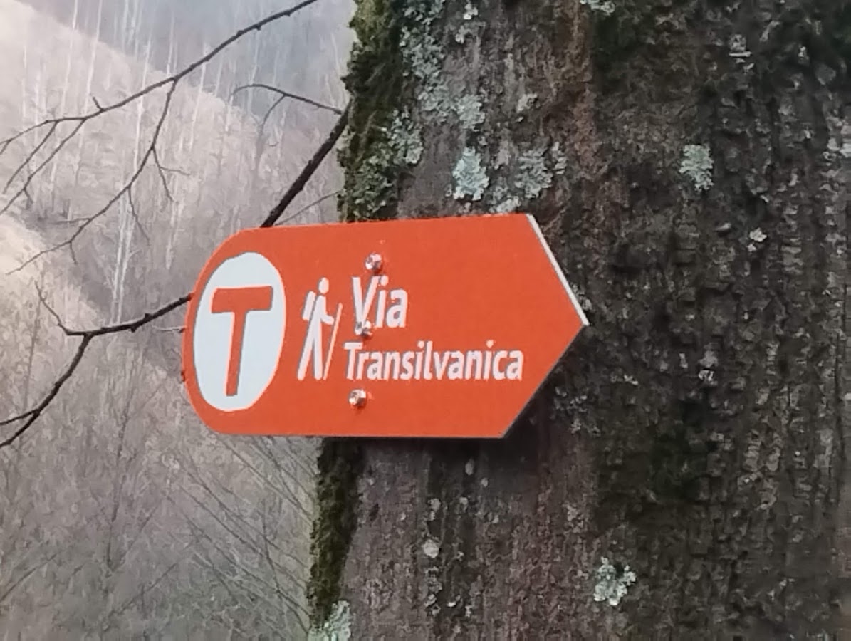 Foto di Casuța din pădure