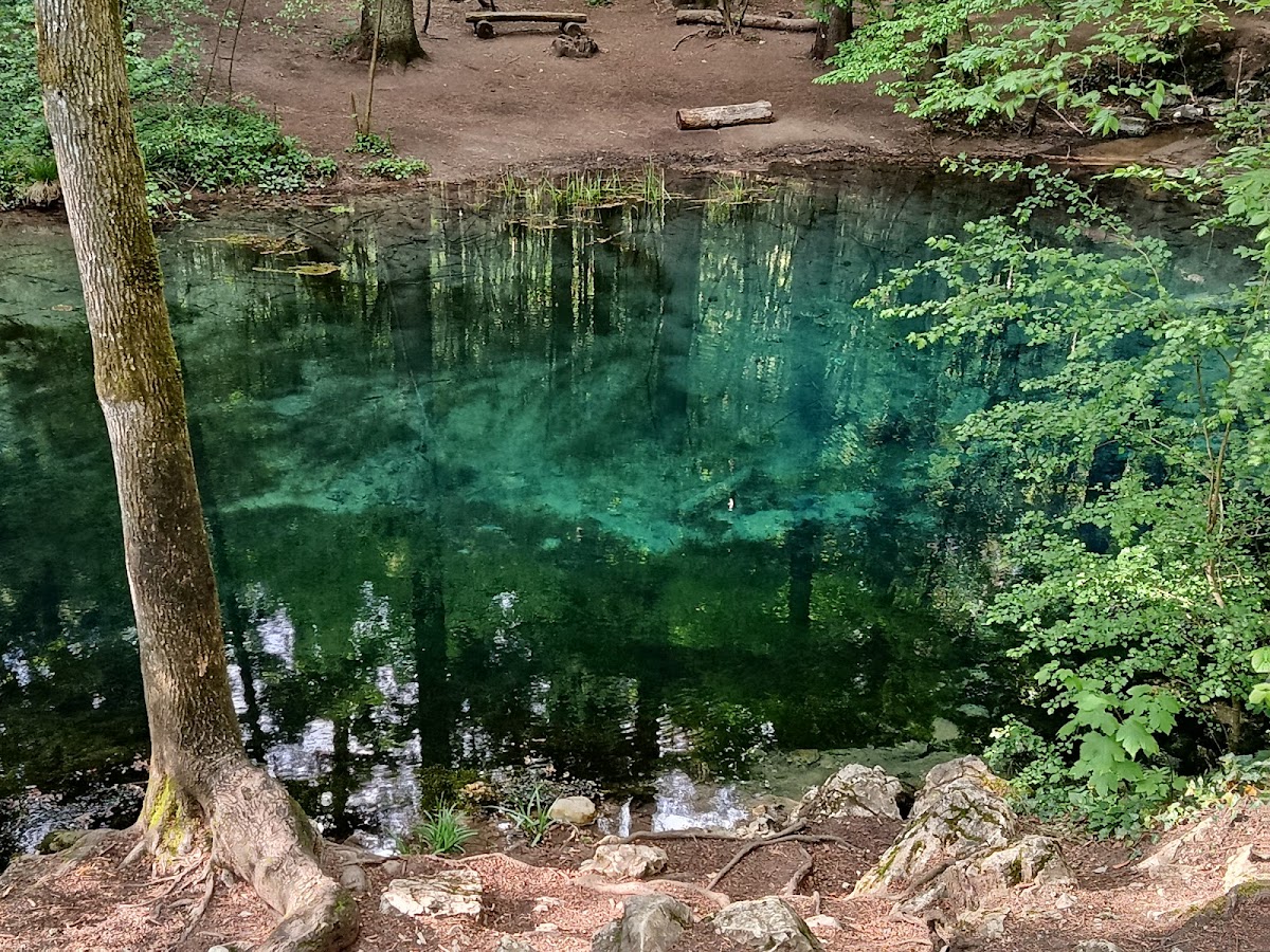 Foto von Cheile Nerei - Beuşniţa
