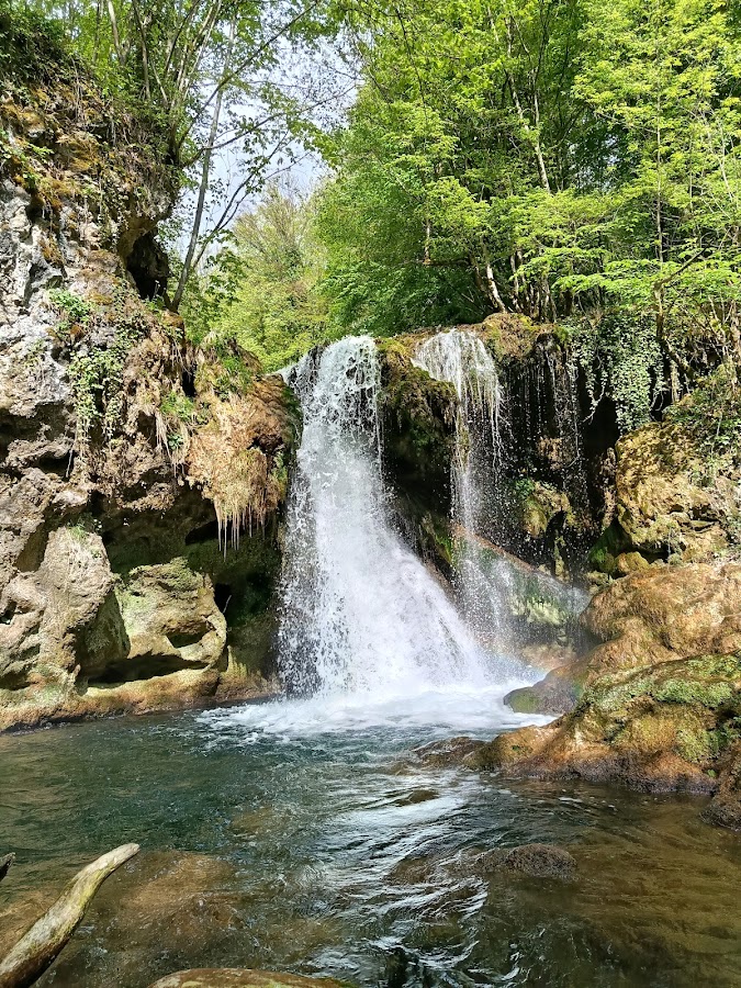 Foto von Cheile Nerei - Beuşniţa