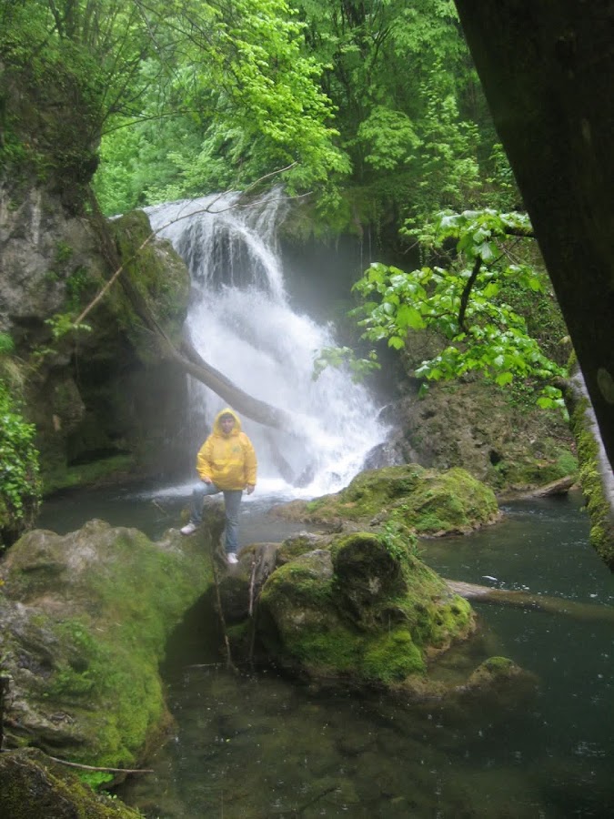 Foto von Cheile Nerei - Beuşniţa
