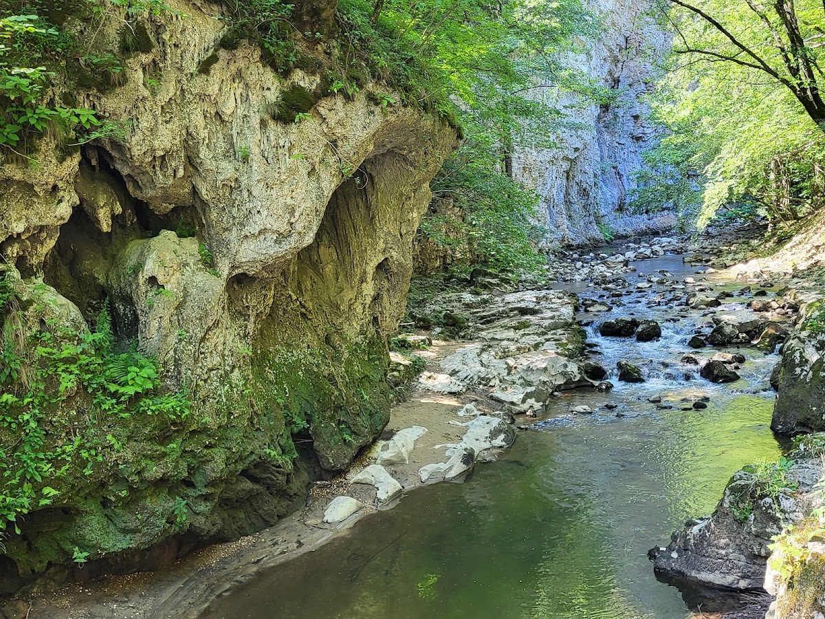 Photo of Bigăr Spring