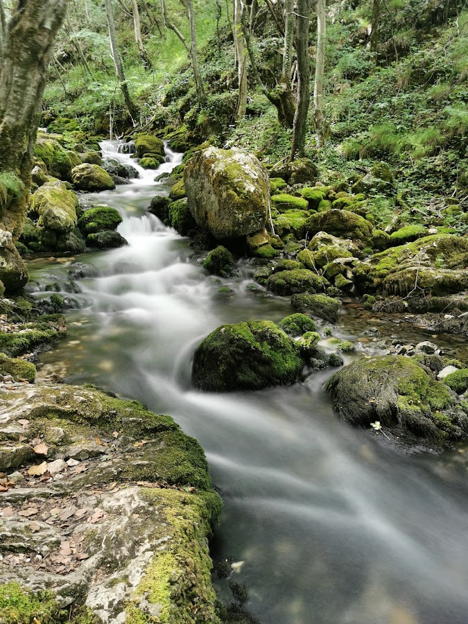 Photo of Bigăr Spring