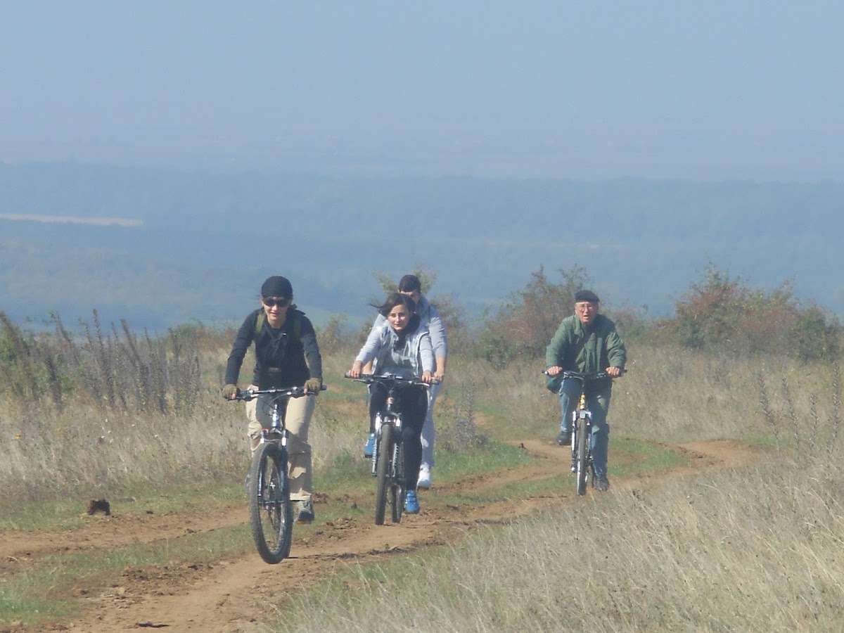 Foto von Spazier- und Fahrradtouren Timişoara