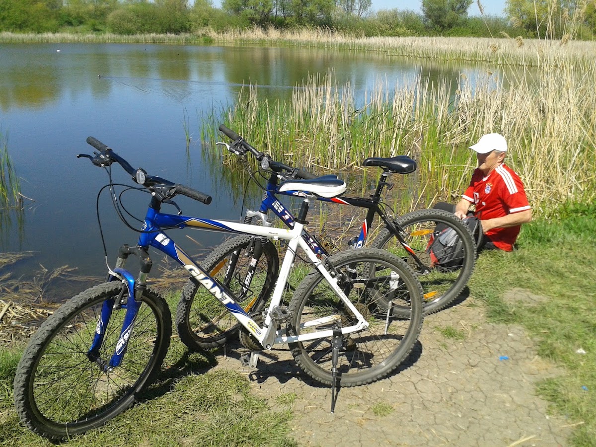 Foto von Walking & Bicycle Tours Timişoara