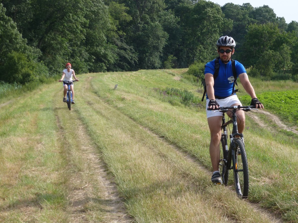 Foto von Walking & Bicycle Tours Timişoara