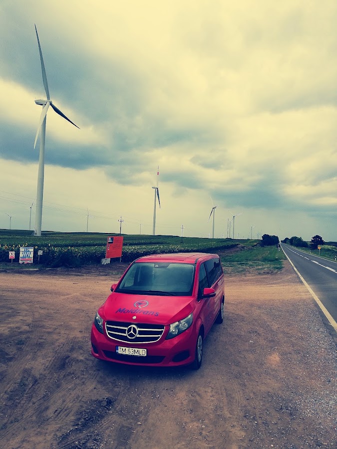 Foto von Moldtrans SRL