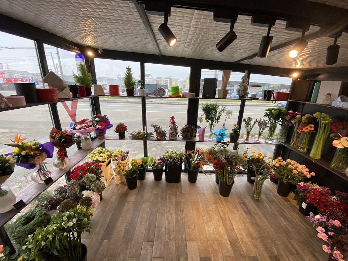 Photo of Floraria Flower Power - Buchete si Aranjamente Florale -NON STOP