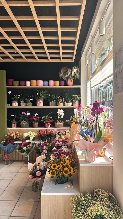 Fotografie cu Roua Florărie Timișoara