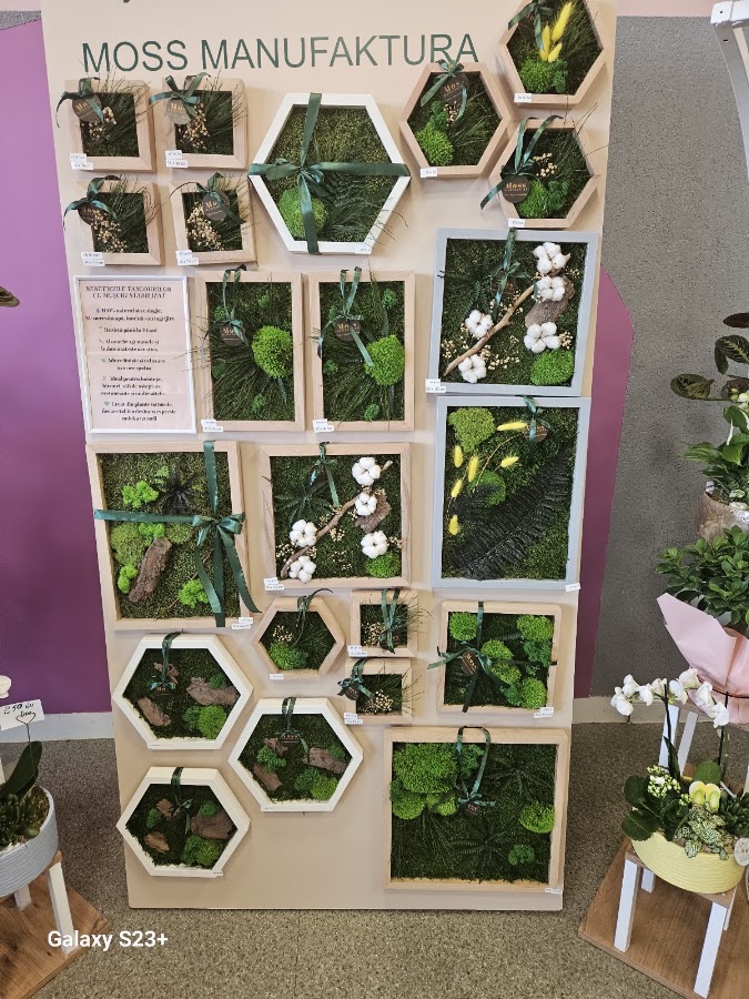 Photo de Infinity Flowers Shop SRL