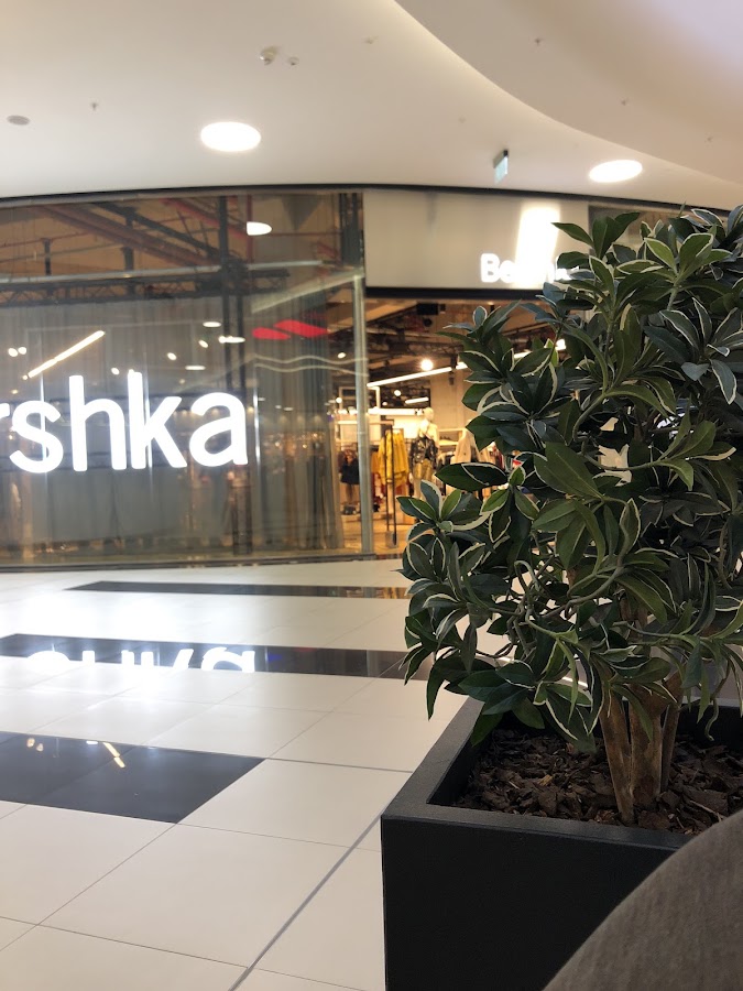 Photo of Bershka