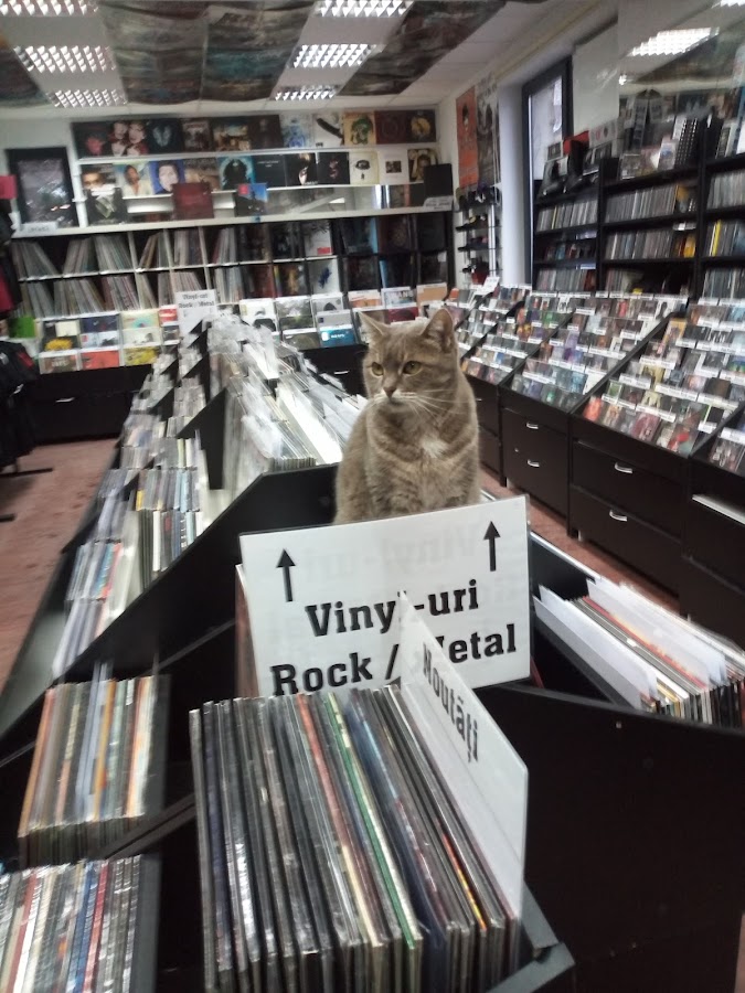 Foto von Niche Records