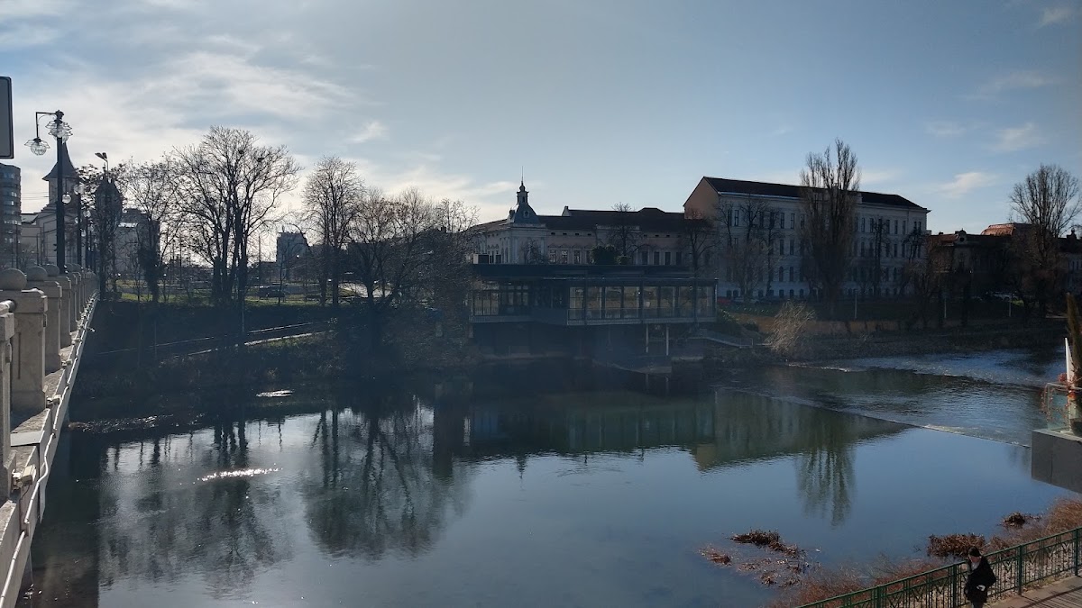 Fotografie de Crinul Alb